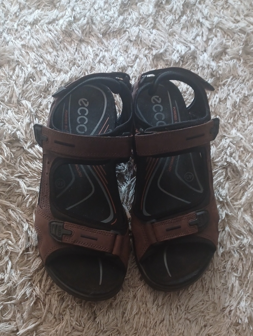 Mens ECCO Sandals